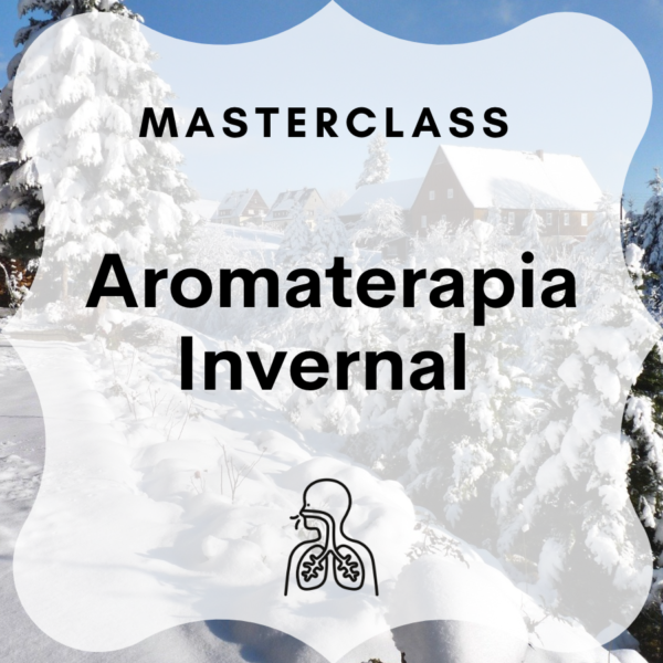 Portada masterclass web_invernal